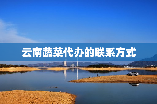 云南蔬菜代办的联系方式(云南蔬菜批发基地)