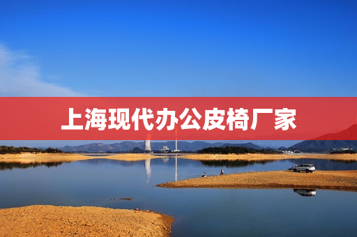 上海现代办公皮椅厂家(休闲办公椅)
