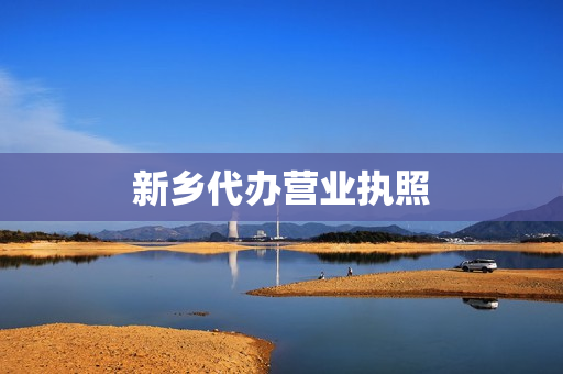 新乡代办营业执照(如何办理营业执照)