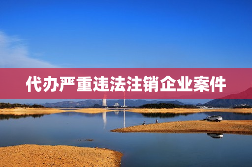代办严重违法注销企业案件(公司注销代办)