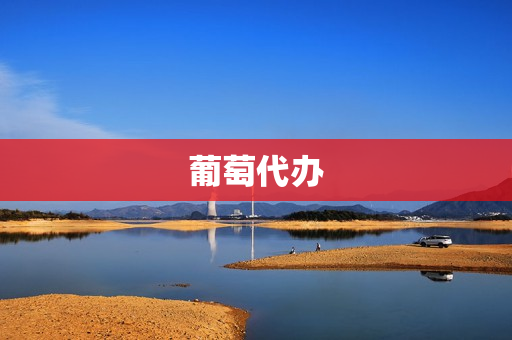 葡萄代办(葡萄销售平台)
