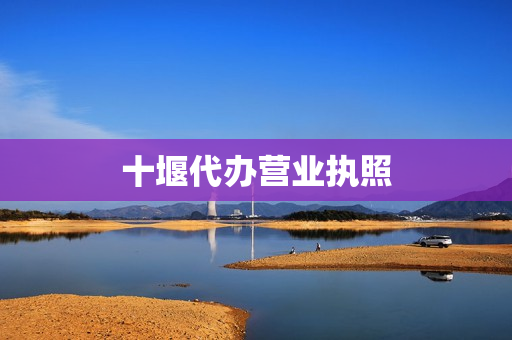 十堰代办营业执照(代办营业执照可靠吗)