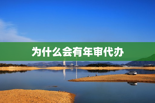 为什么会有年审代办(年审代办需要哪些材料)