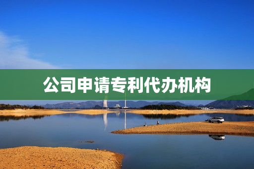 公司申请专利代办机构(公司如何申请专利)