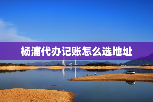 杨浦代办记账怎么选地址(代办记账多少钱)