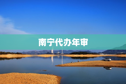 南宁代办年审(南宁代办公司执照)