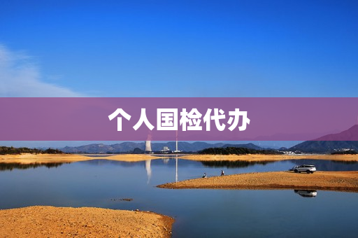 个人国检代办(代办执照)