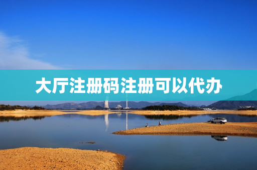 大厅注册码注册可以代办(个人所得税大厅注册码怎么注册)