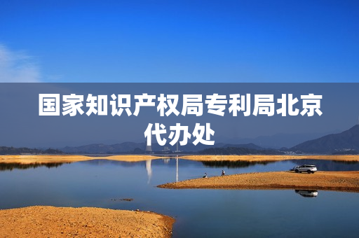 国家知识产权局专利局北京代办处(国家专利局重庆代办处)