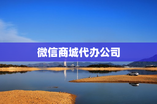 微信商城代办公司(微信商城)