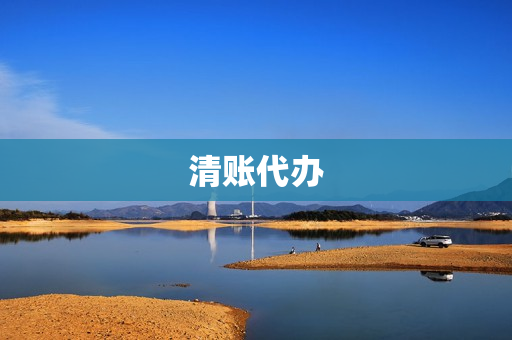 清账代办(公司怎么清账)