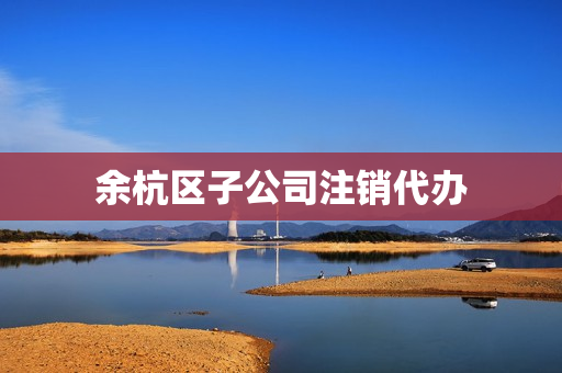 余杭区子公司注销代办(股东注销后子公司怎么办)