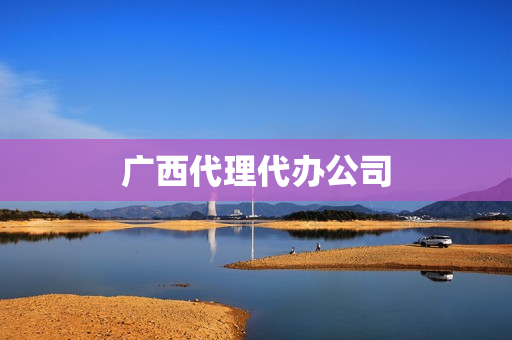 广西代理代办公司(广西的知识产权代理公司)