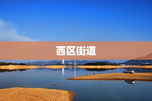 西区街道(西区街道的行政区划)