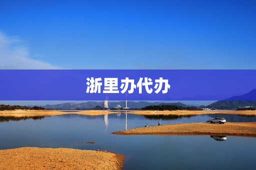 浙里办代办(浙里办为他人代办授权)