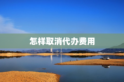 怎样取消代办费用(公司注册代办费用)