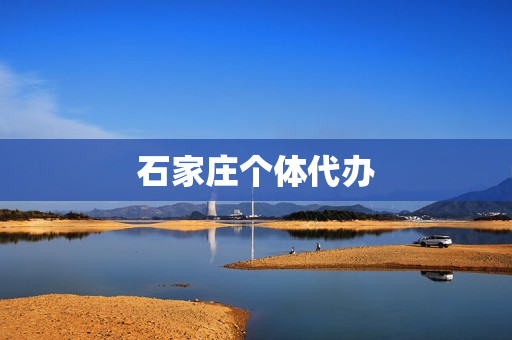 石家庄个体代办(石家庄个体户营业执照办理)