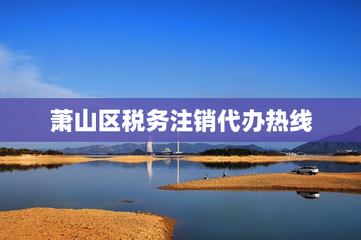 萧山区税务注销代办热线(萧山营业执照注销去哪里办理)