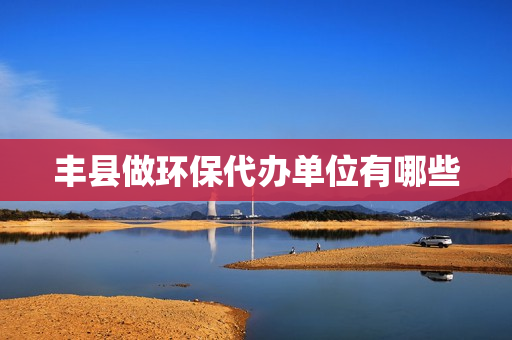 丰县做环保代办单位有哪些(徐州有哪些环保公司)