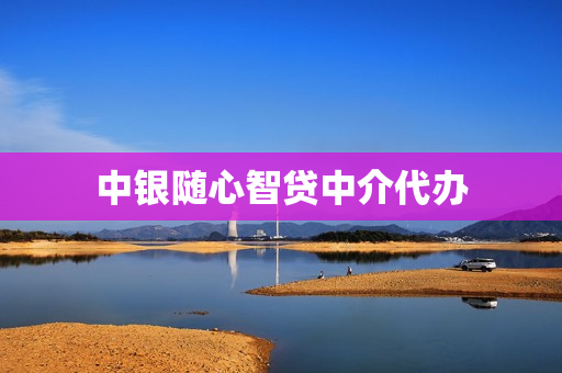 中银随心智贷中介代办(随心智贷 中介 拒了)