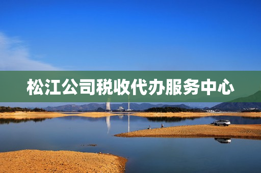 松江公司税收代办服务中心(松江公司注册代办)