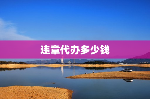 违章代办多少钱(车辆违章可以代办吗)