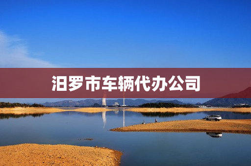 汨罗市车辆代办公司(代办审车)