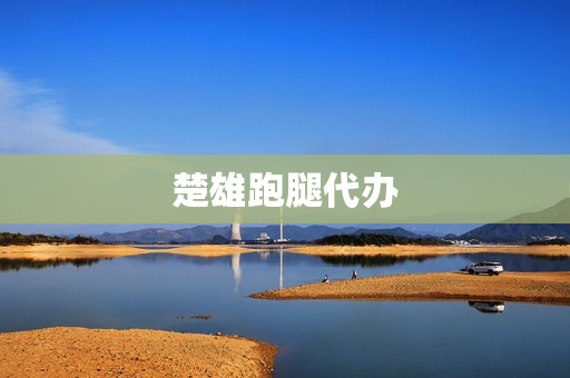 楚雄跑腿代办(帮忙跑腿)