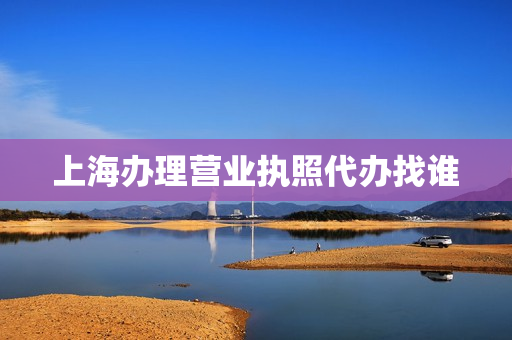上海办理营业执照代办找谁(营业执照代办多少钱怎么办理)