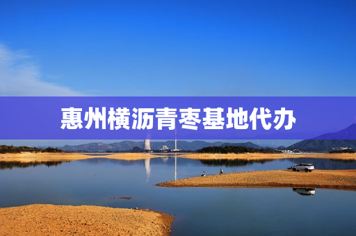 惠州横沥青枣基地代办(惠州新圩)