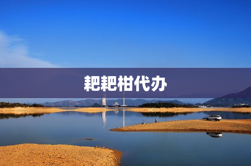耙耙柑代办(耙耙柑苗)