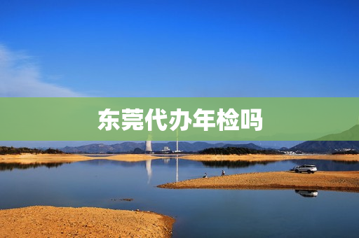 东莞代办年检吗(代办年检服务)