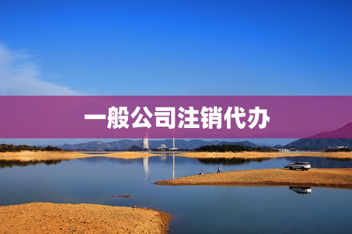 一般公司注销代办(公司注销流程及费用)