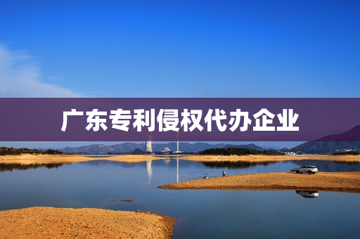 广东专利侵权代办企业(专利申请代办骗局)