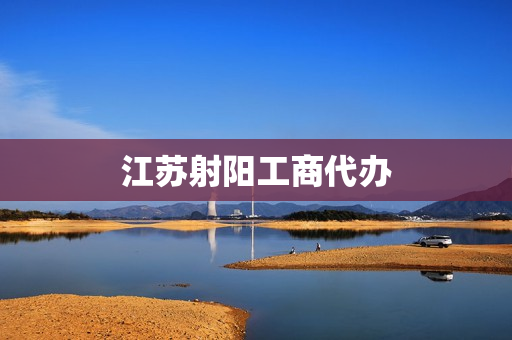 江苏射阳工商代办(工商代办)