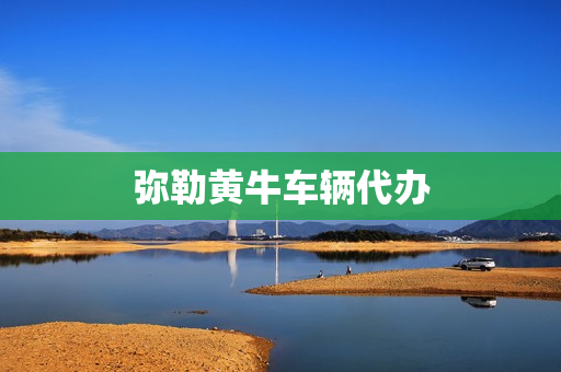 弥勒黄牛车辆代办(黄牛代办摩托销户)