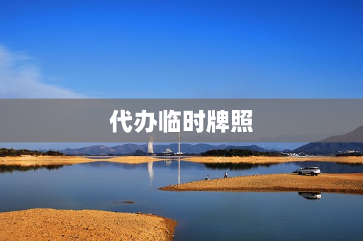 代办临时牌照(临牌本人不去让家人办可以吗)