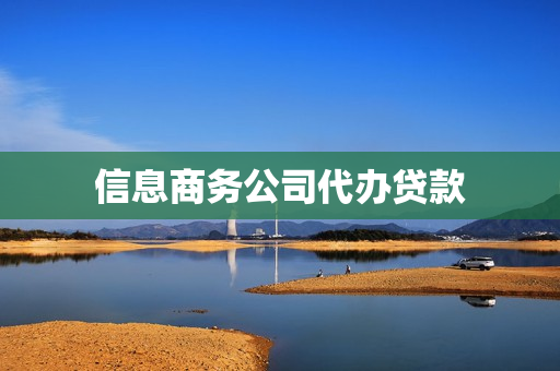 信息商务公司代办贷款(信息咨询公司可以贷款吗)