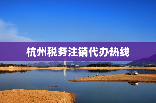 杭州税务注销代办热线(税务注销代办费用)
