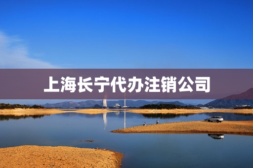 上海长宁代办注销公司(上海代办公司地址变更)