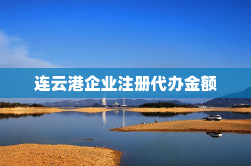 连云港企业注册代办金额(连云港注册公司代办)