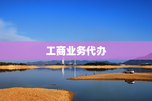 工商业务代办(工商注册代办)