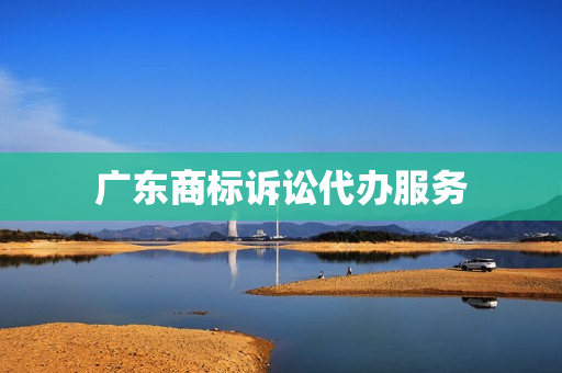 广东商标诉讼代办服务(商标诉讼时效)