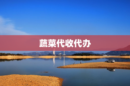 蔬菜代收代办(蔬菜代办网站)