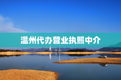温州代办营业执照中介(温州代办营业执照联系方式)