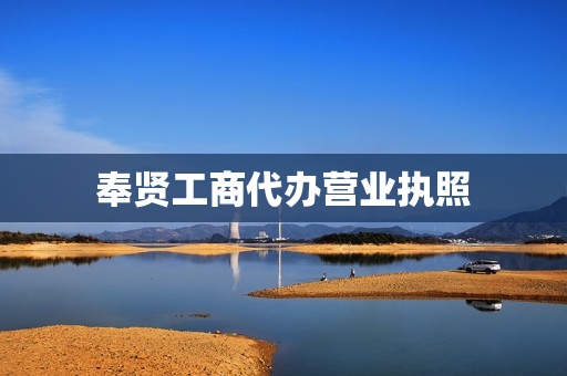 奉贤工商代办营业执照(奉贤区办理营业执照地址)