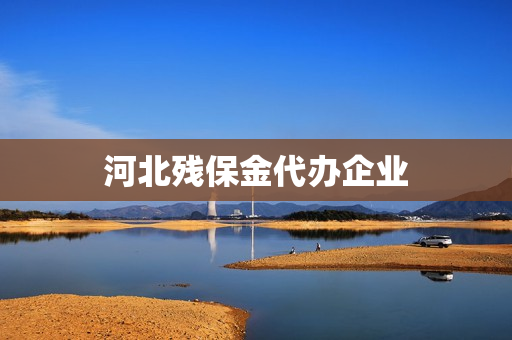 河北残保金代办企业(河北省残保金申报时间)