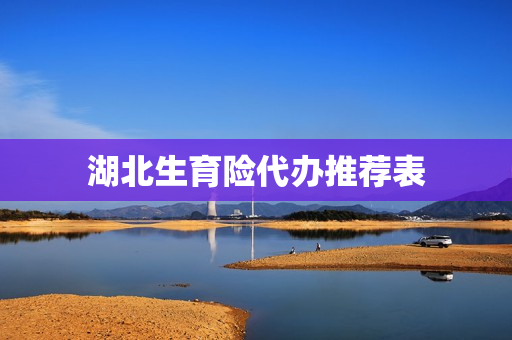 湖北生育险代办推荐表(武汉市生育保险生育就医登记表)