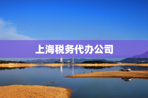上海税务代办公司(代办公司)
