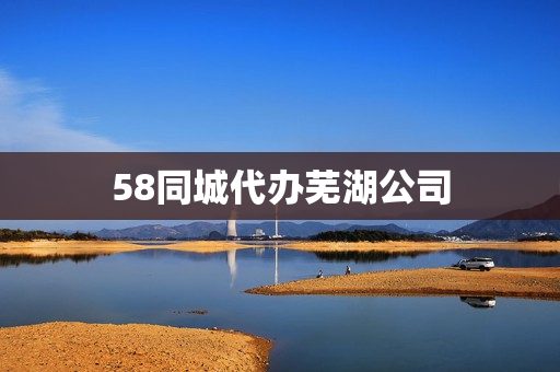 58同城代办芜湖公司(芜湖代办公司执照)